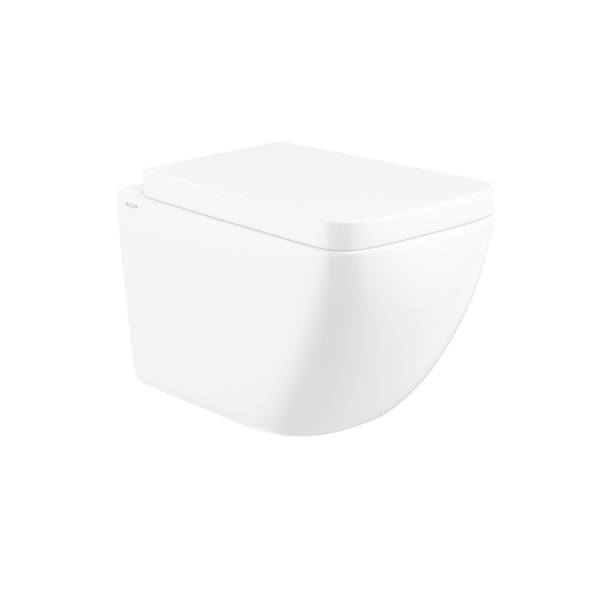 Rimless Wall Hung WC